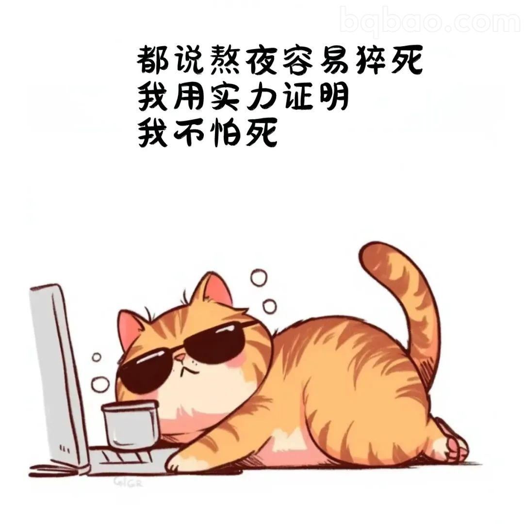 熬夜不怕死猫咪