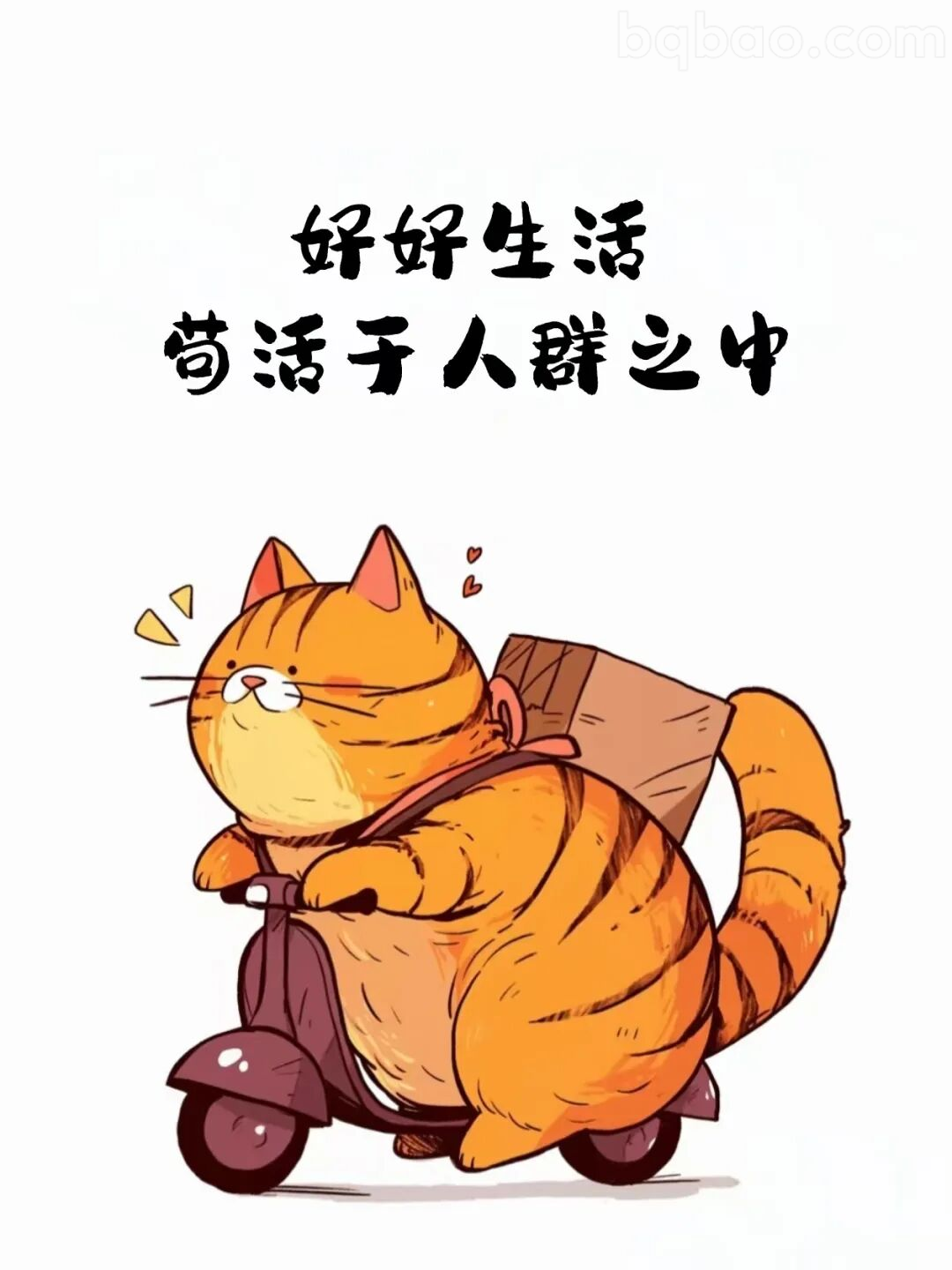 骑车小猫表情包