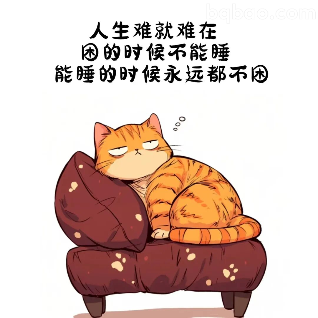 困了不能睡的猫
