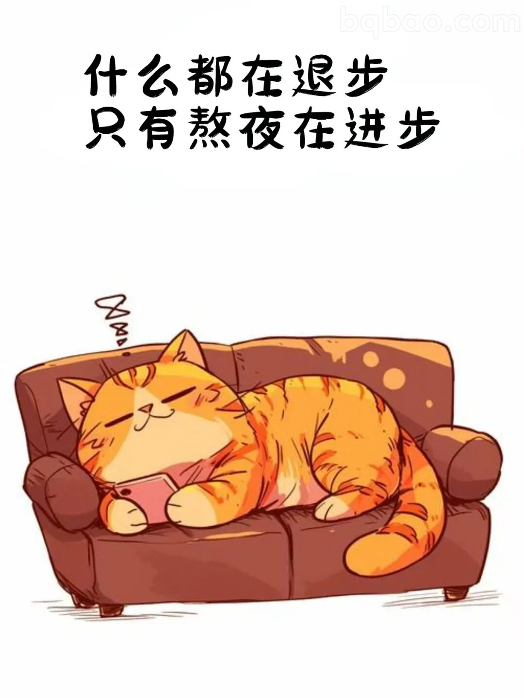 熬夜进步猫
