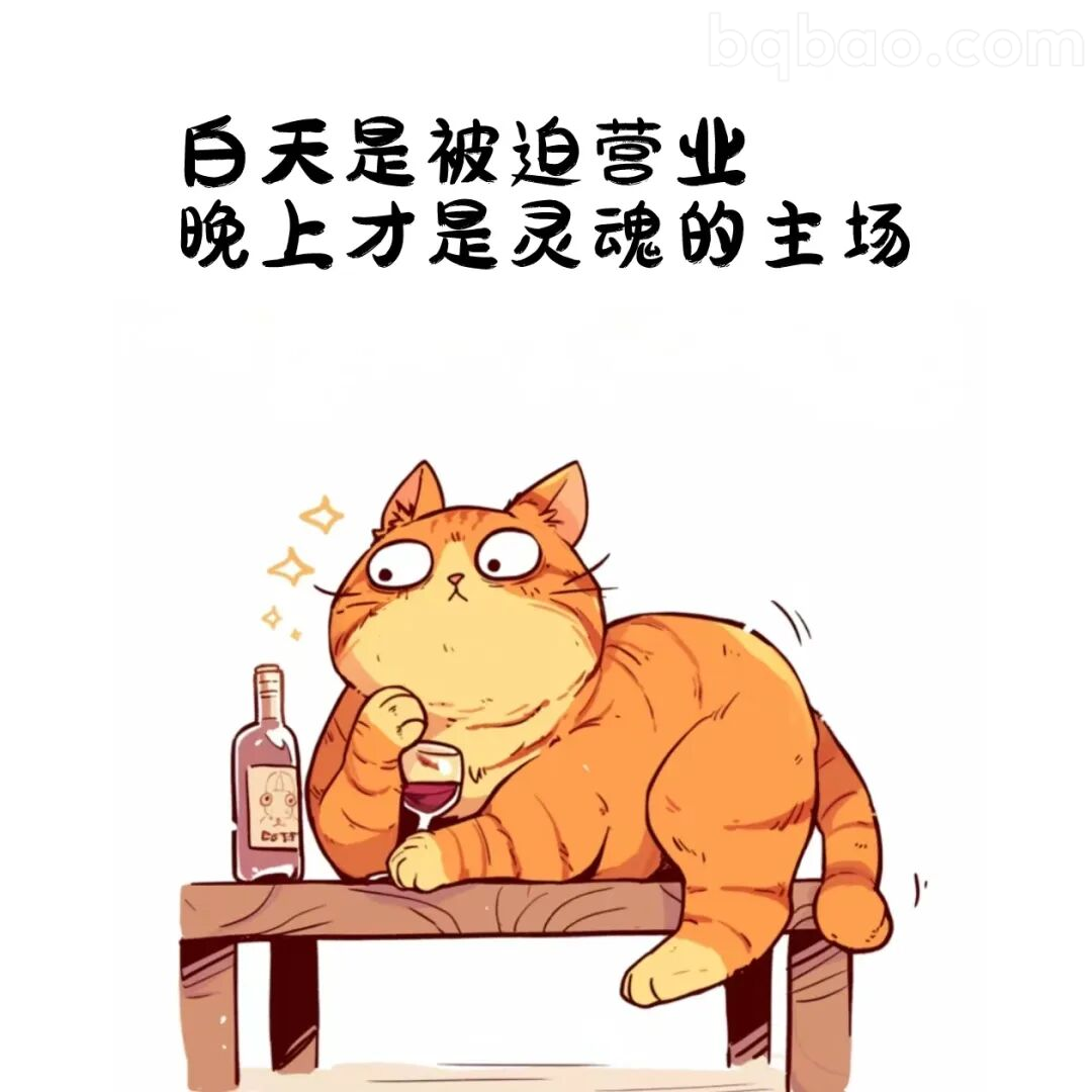 灵魂主场猫咪