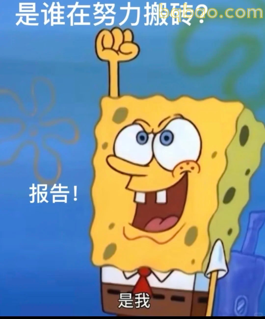 努力搬砖是我