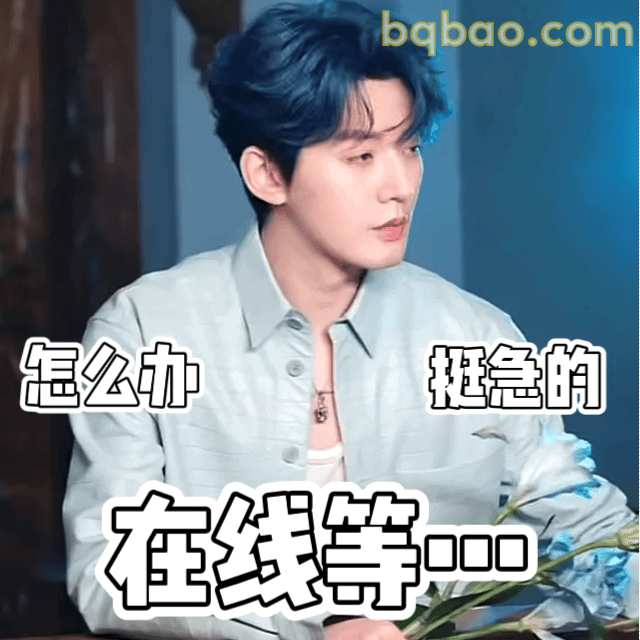 在线等挺急的