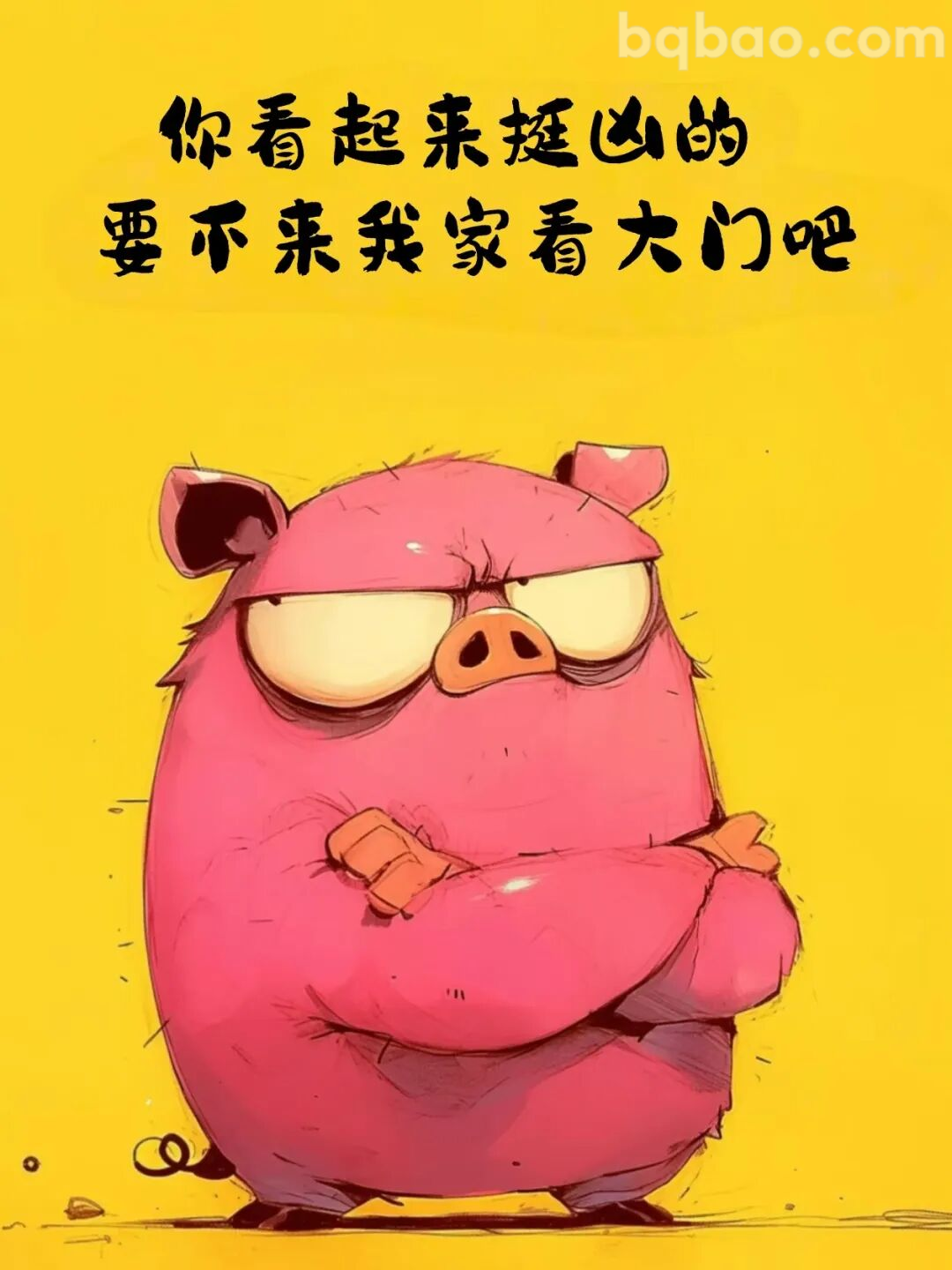 凶萌小猪看大门