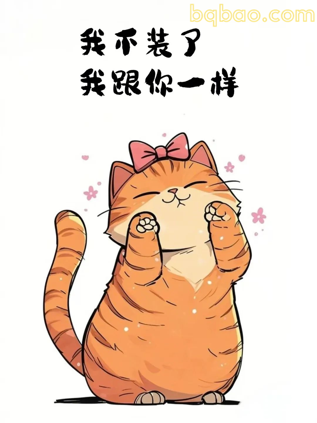 不装了我跟你一样