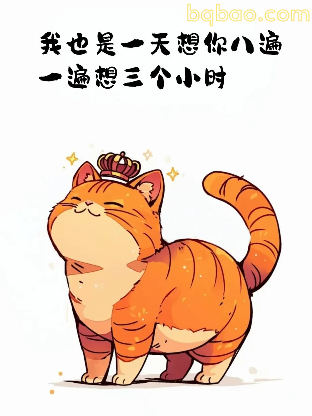 想你八遍猫咪