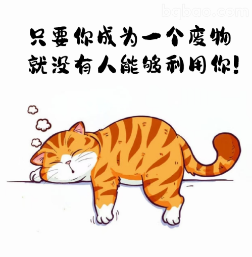 躺平废物猫