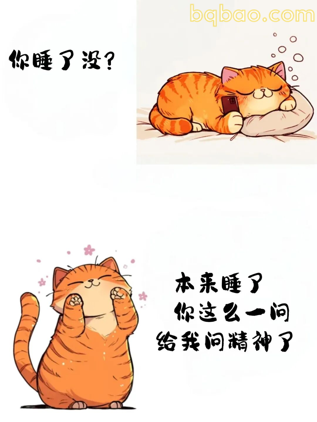 被问醒的橘猫