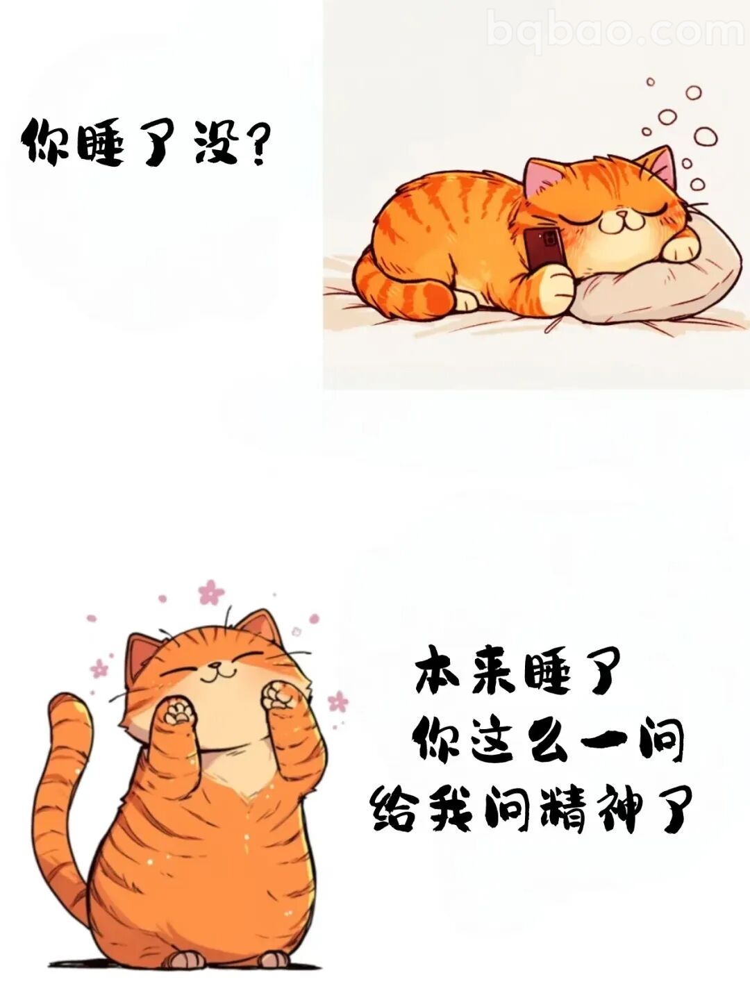 被问醒的橘猫