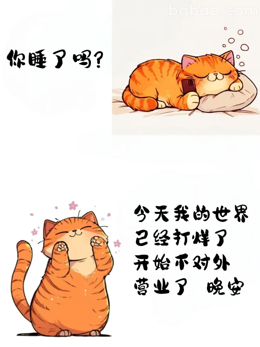 打烊猫咪晚安