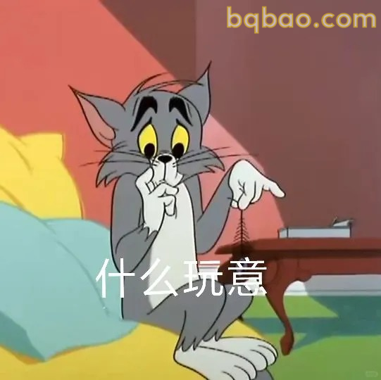 什么玩意