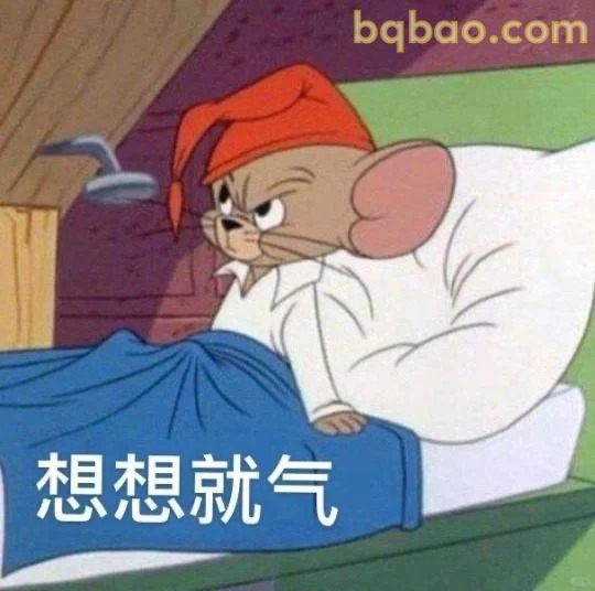 想想就气