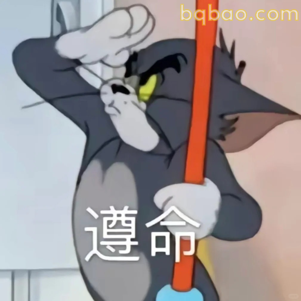 遵命敬礼表情