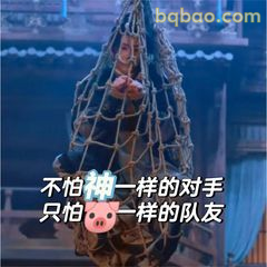 不怕神一样的对手，只怕猪一样的队友