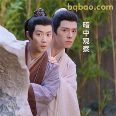 暗中观察二人组