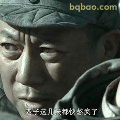 老子这几天都快憋疯了