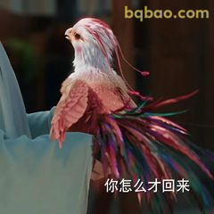 你怎么才回来
