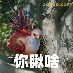 你瞅啥？咯咯哒神鸟瞪眼