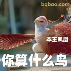你算什么鸟