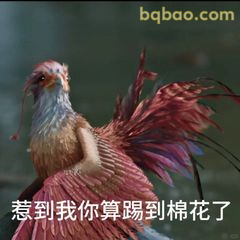惹到我你算踢到棉花了