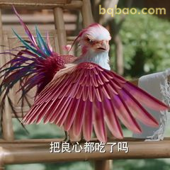 把良心都吃了吗