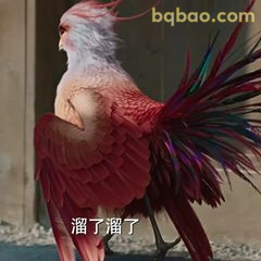 溜了溜了 凤凰转身跑