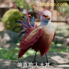 简直欺人太甚