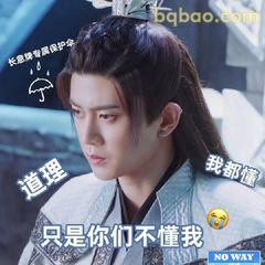 只是你们不懂我