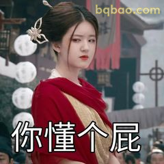 你懂个屁
