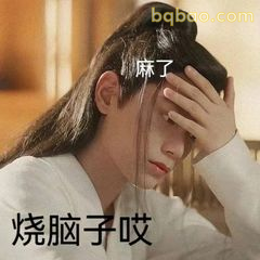 烧脑子哎麻了