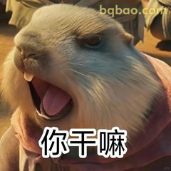 你干嘛？土拨鼠式震惊