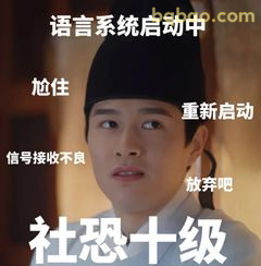 社恐十级语言系统启动中