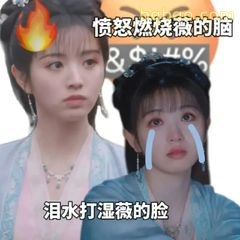 愤怒燃烧薇的脸 泪水打湿薇的脸