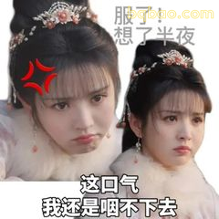 这口气我还是咽不下去
