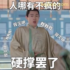 硬撑罢了 毁灭吧