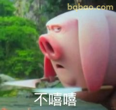 不嘻嘻 猪鼻子震惊脸