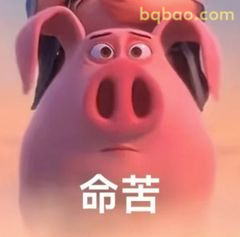 申公豹命苦表情包