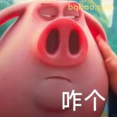 猪鼻子咋个表情