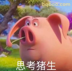 思考猪生