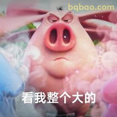 看我整个大的