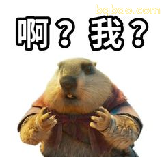 啊？我？土拨鼠震惊