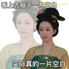 脑子一片空白 实际真空白