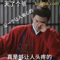 天了个爷真是头疼