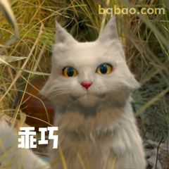 乖巧白猫歪头杀