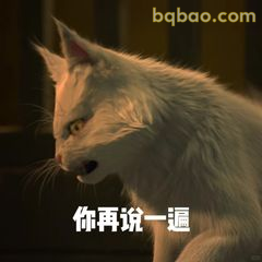 你再说一遍（猫版）