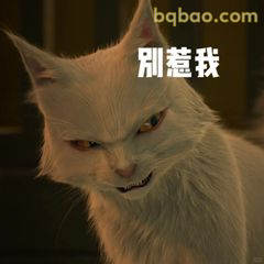 别惹我！白猫怒目警告