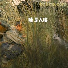 哇是人唉