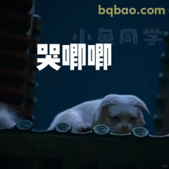 哭唧唧小猫同学