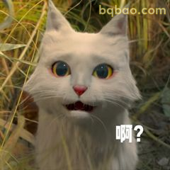 白猫歪头疑问啊？