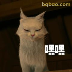 白猫嘿嘿笑表情包